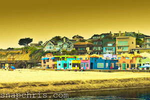 一键备份还原的轰炸电话号码网站