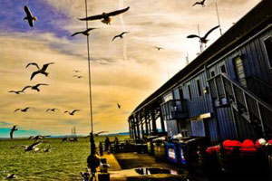 帮您提升品质的在线短信轰炸